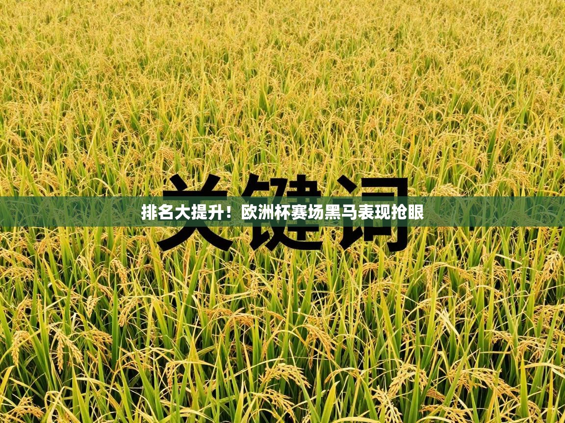 排名大提升！欧洲杯赛场黑马表现抢眼  第2张
